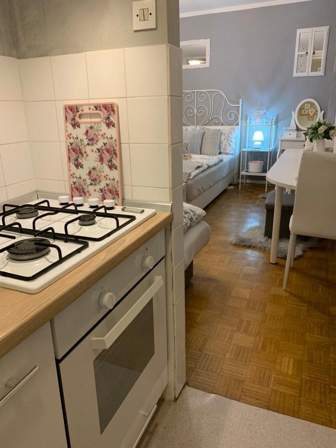 Apartment Lautus Maribor Exteriér fotografie